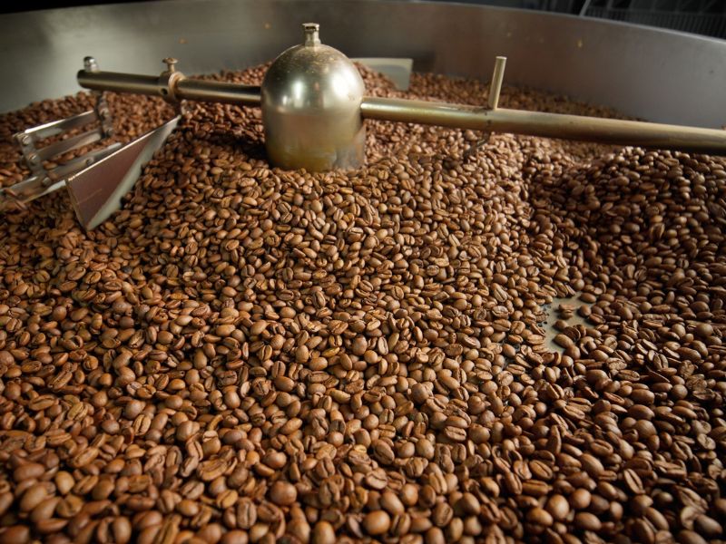 Coffee beans move along a conveyor belt in a food grade packaging facility.